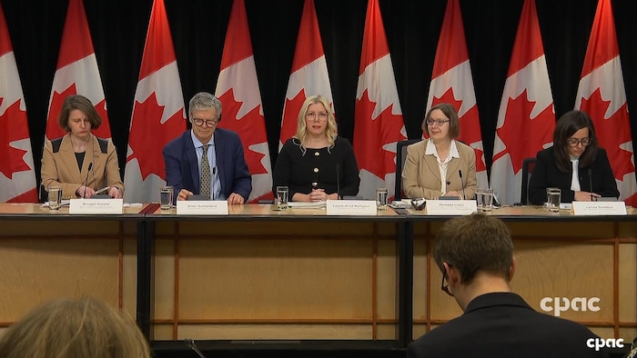 Les experts du Groupe de travail sur les menaces en matière de sécurité et de renseignements s'adressent aux médias dans une conférence de presse.