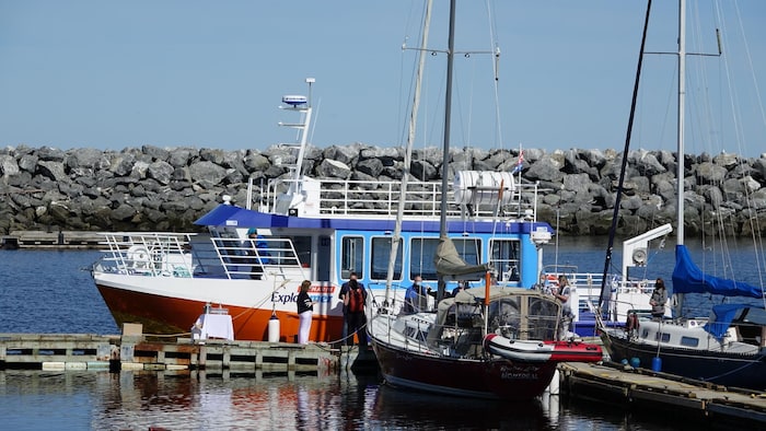 Le C.E. Marin au quai de Sainte-Anne-des-Monts.