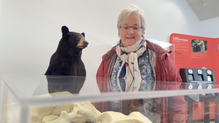 Une retraitée avec des lunettes regarde une exposition sur les ours.