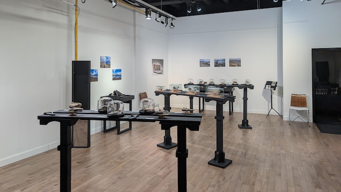 Une exposition dans une galerie. 