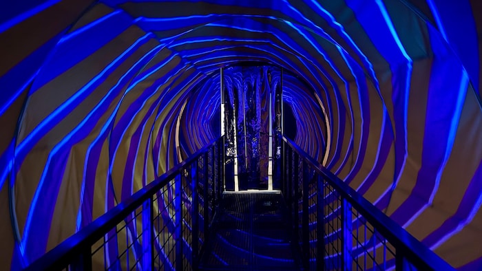 L'exposition de l'illusion vortex.