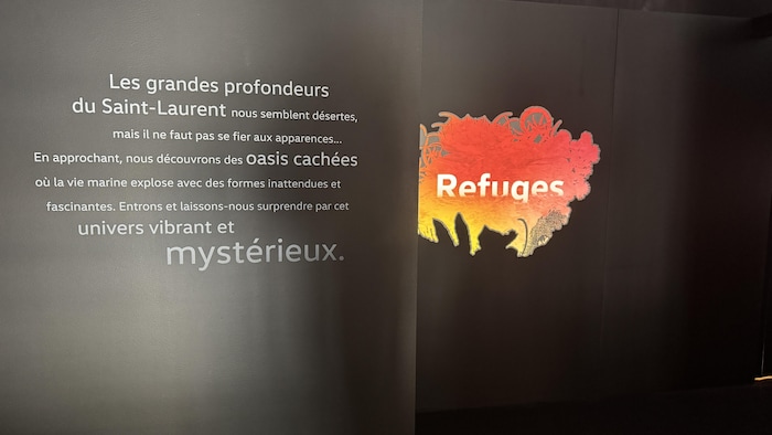 La façade de l'exposition Refuges.