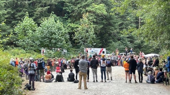 Attroupement de gens devant deux ambulances dans la forêt.