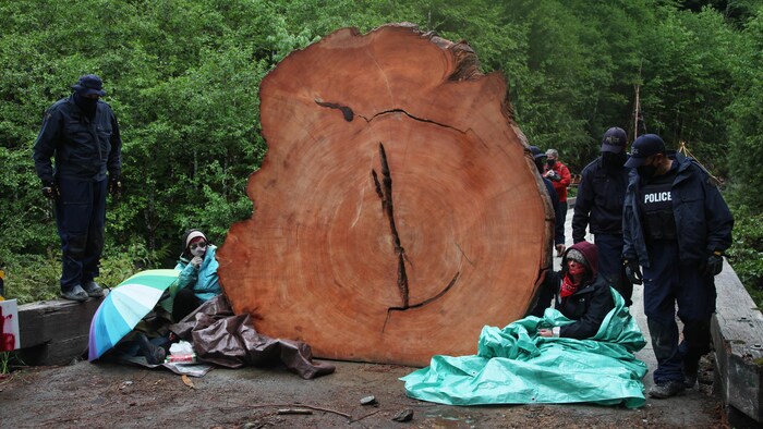 Personas alrededor de un árbol abatido, rodeadas por la policía