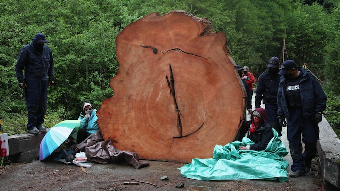 Des manifestants et des agents de la GRC à côté d'un immense tronc d'arbre aux barricades de Caycuse, en mai 2021. 