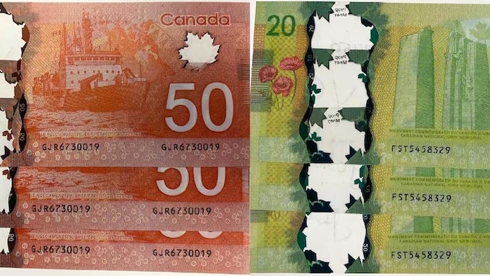 De faux billets de banques étalés sur une table.