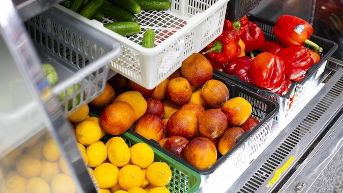 Plan rapproché de fruits et de légumes dans un présentoir réfrigéré.