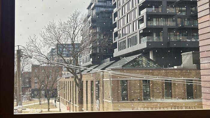 Une fenêtre qui donne sur un parc torontois est marquée d'un motif à petits points réguliers, disposés à 5 centimètres les uns des autres.