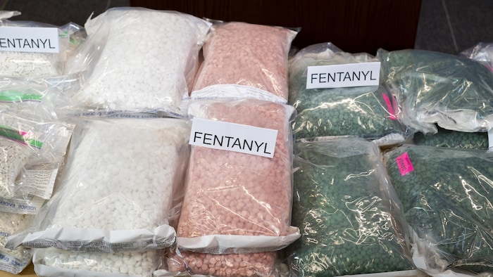 Fentanyl en Poudre Disponible au Quebec