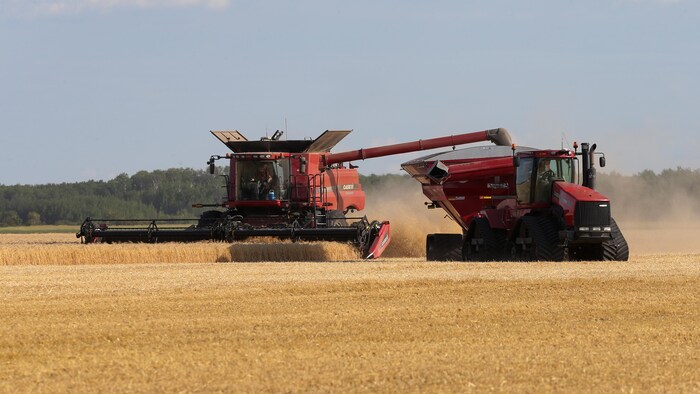 Les fermiers de l’Ouest profitent d’une moisson plus rapide que prévu ...