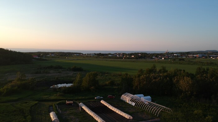 Vue sur la ferme du Castor gras et la ville de Trois-Pistoles.