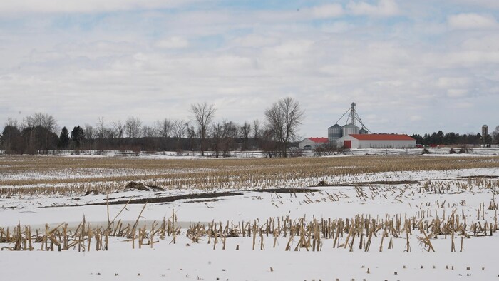 Un champ parsemé de résidus de cultures et de neige s'étend devant des bâtiments de ferme et des silos dans l'Est ontarien.