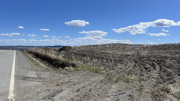 Un terrain vacant.