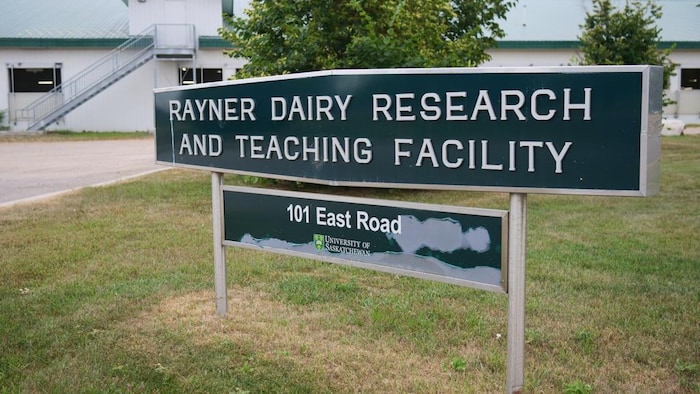 La ferme laitière de l'institut de recherche Rayner de l'Université de la Saskatchewan, le 9 aout 2026.