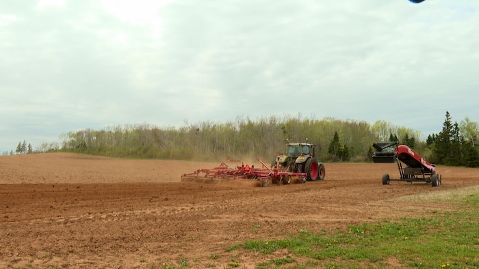 Un agriculteur au volant de son tracteur dans un champs cultivé.