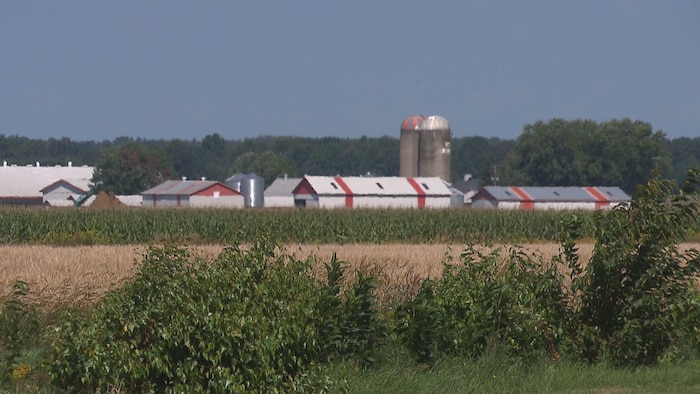 It could cost the end of the supply management star-news.press/wp Farm, silo and fields in Sainte-Brigitte-des-Saut.