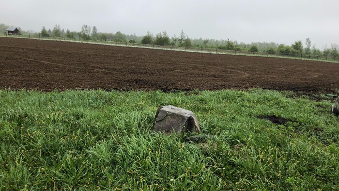 une terre agricole