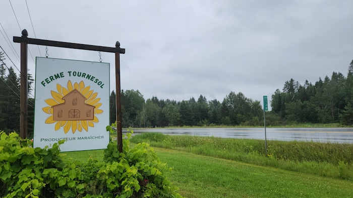 La pancarte qui indique la Ferme Tournesol sur le bord de la route. 