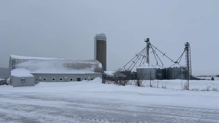 Une ferme enneigée sous un ciel gris présente un long bâtiment gris, un silo imposant et des structures de stockage de grain métalliques. Le sol et les toits sont recouverts d'une épaisse couche de neige, évoquant un paysage rural hivernal.