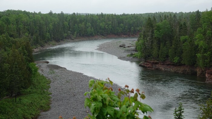 La rivière Bonaventure.