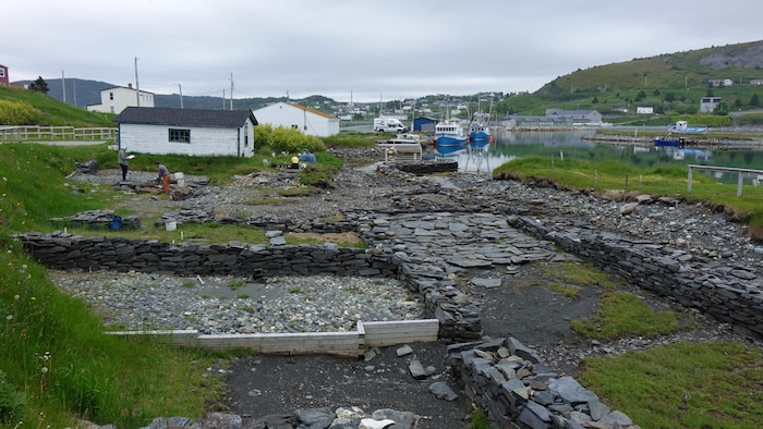 Des chercheurs participent au fouilles au site archéologique de Ferryland.