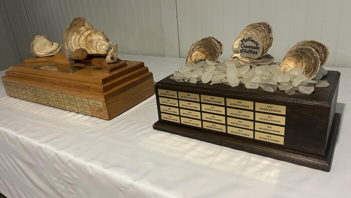 Deux trophées sur une table.