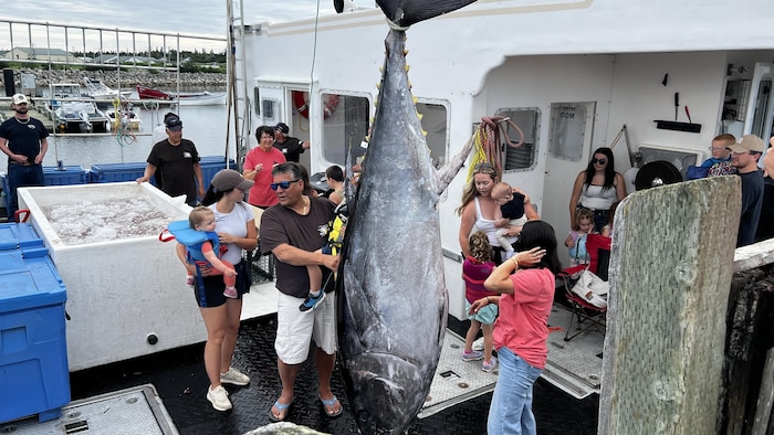 Un gros thon suspendu sur un bateau avec beaucoup de gens attroupés.