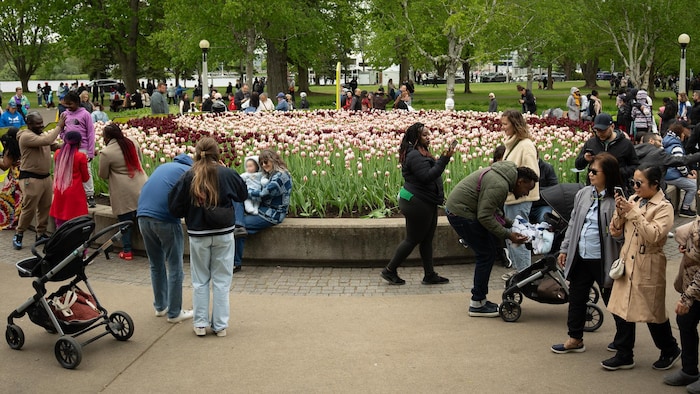 Des gens se promènent dans un parc, autour de tulipes.