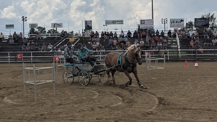 Une charrette occupée par deux hommes et tirée par un cheval en course, en train de contourner un obstacle, devant quelques dizaines de spectateurs éparpillés dans les gradins.