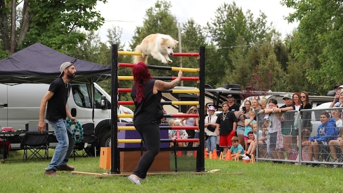 Un chien saute par-dessus une série de barreaux, où quelqu'un l'attends. Des familles regardent le spectacle.