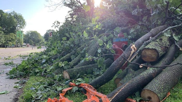 Hard awakening in the aftermath of violent thunderstorms in Quebec Hard awakening in the aftermath of violent thunderstorms in Quebec