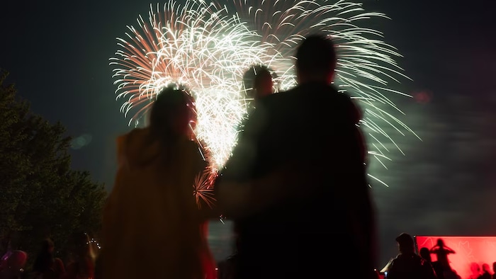 Des gens regardent les feux d'artifice de la fête du Canada.