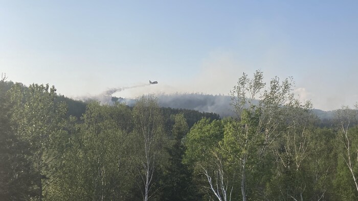 Un avion-citerne largue son contenu sur le feu.