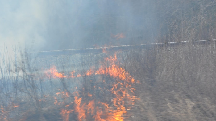 Un feu de broussailles et de la fumée. 