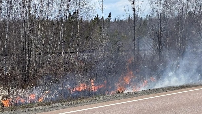 Un feu de broussaille le long d'une route.