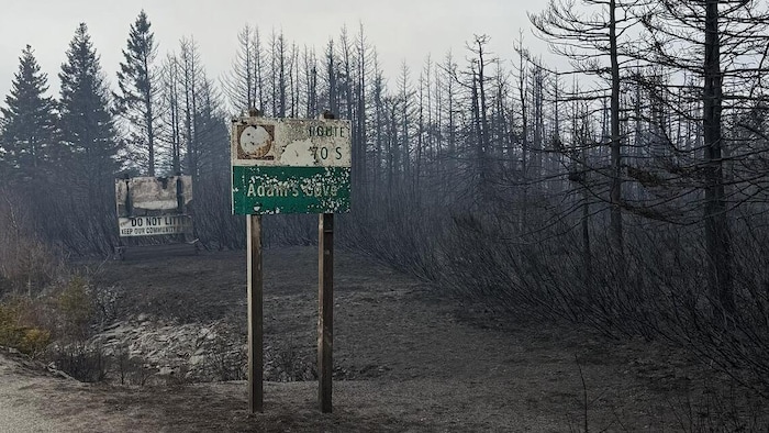 Une petite enseigne annonçant la collectivité d'Adam's Cove et la way   70 Sud, endommagée par la suie et la fumée, se dresse devant des arbres après un feu de forêt.