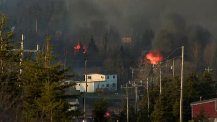 Une photo de qualité discutable où l'on voit des flammes brûlant des arbres et une épaisse fumée, très près des maisons.