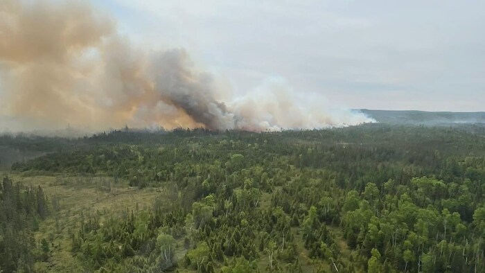 D'épaisses colonnes de fumée s'élèvent dans le lointain, au-dessus d'une forêt.