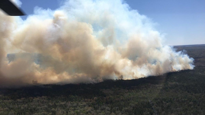 Sur une photo aérienne, une épaisse fumée monte au-dessus d'une forêt.