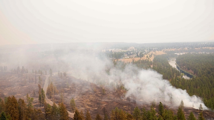 De la fumée est visible après un feu de forêt.