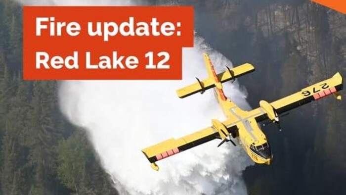 Un avion lutte contre un feu de forêt.