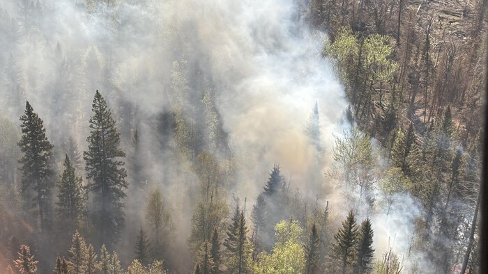 De la fumée sortant d'une forêt, en mai 2024.