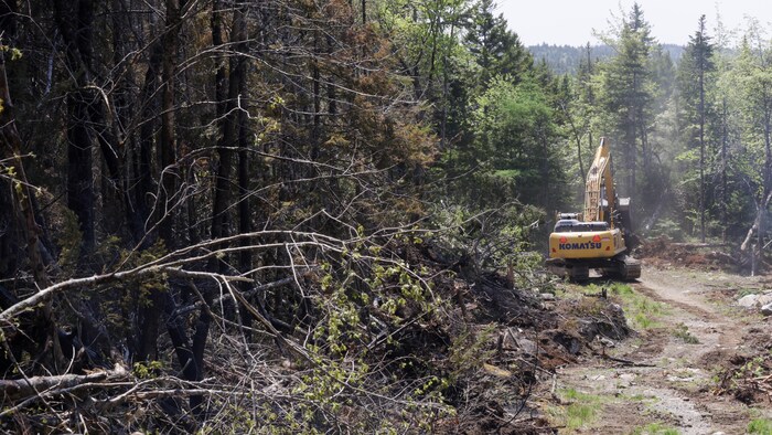 Une excavatrice trace un chemin autour d'un bois.