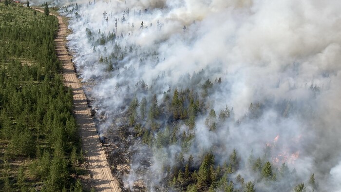 De la fumée s'échappe d'une forêt de l'autre côté d'une route de terre. 