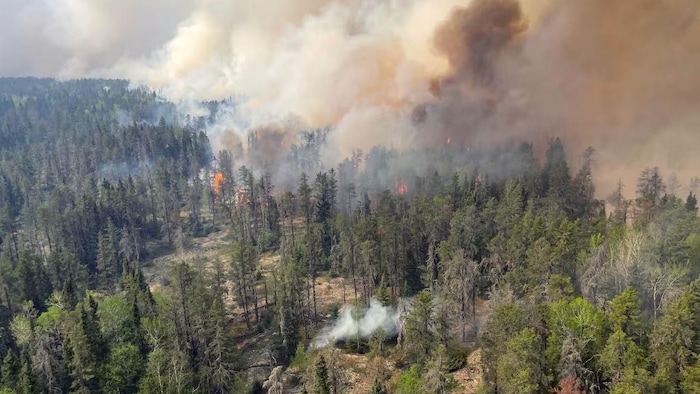 L’incendie de forêt Kenora 20 dans le Nord-Ouest de l’Ontario.