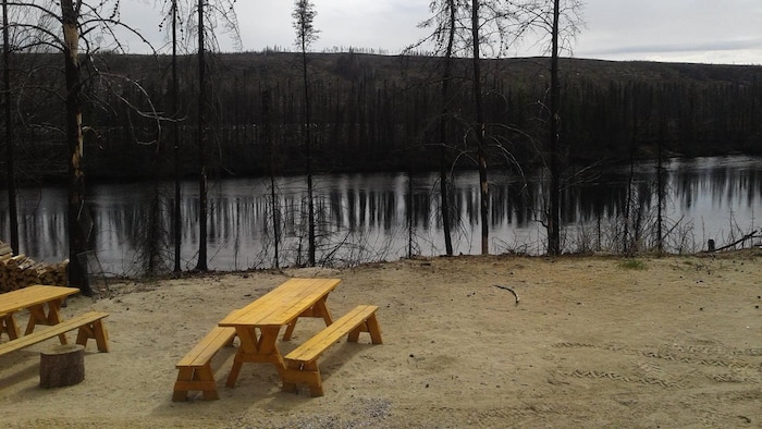 Des arbres brûlés devant un plan d'eau.