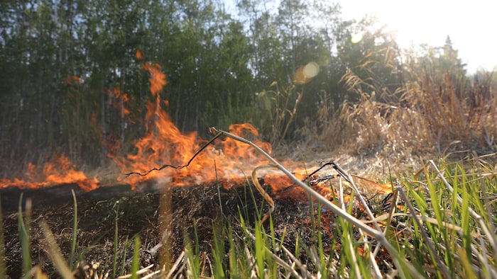 Le feu de forêt en bordure de Prince Albert, en Saskatchewan, le 18 mai 2021.