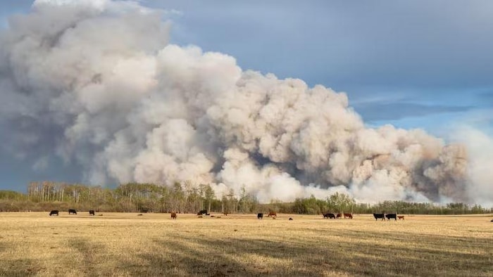 De la fumée se dégage d'un secteur de Teepee Creek, dans le nord-ouest de l'Alberta.