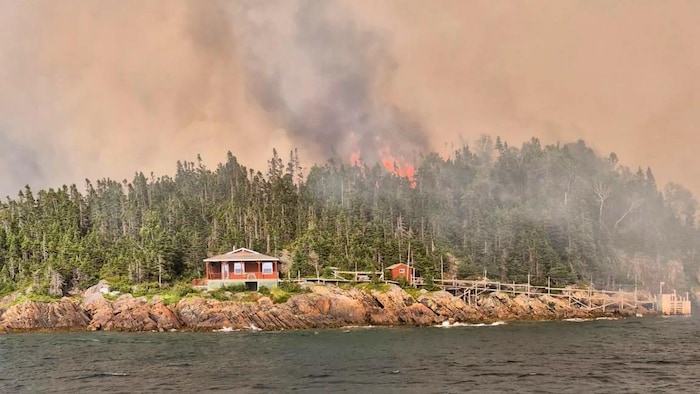 Une forêt en flamme avec une maison au premier plan.