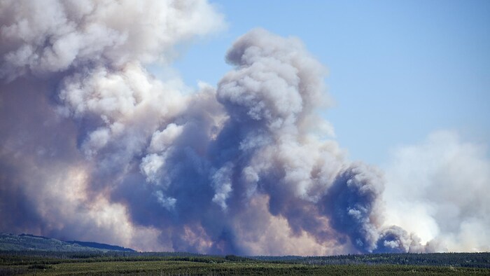 La fumée d'un feu de forêt couvre le ciel.